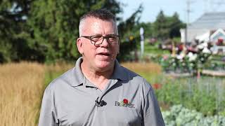 Vegetable Seed & Plugs - Ball Seed Customer Days