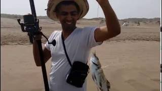 peche maroc surfcasting