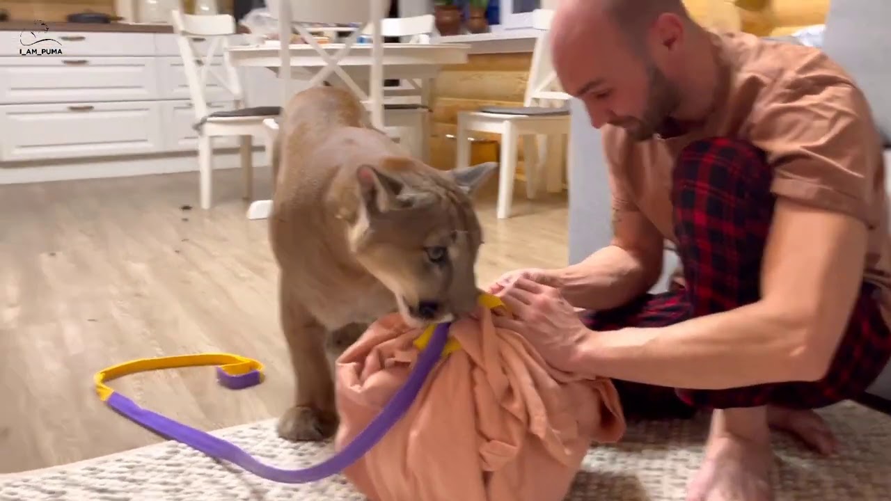 Срочная реанимация колобка! Месси очень переживал .