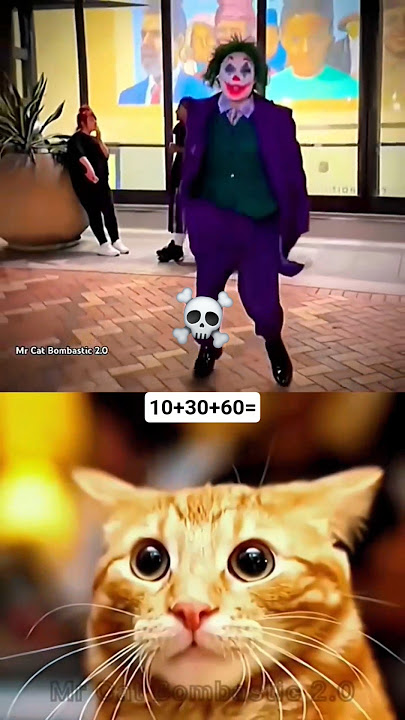 MR BOMBASTIC DANCE ☠️💥 #shorts #tiktok #cat #memes #fyp #mrbombastic #popular | MrCatBombastic2.0