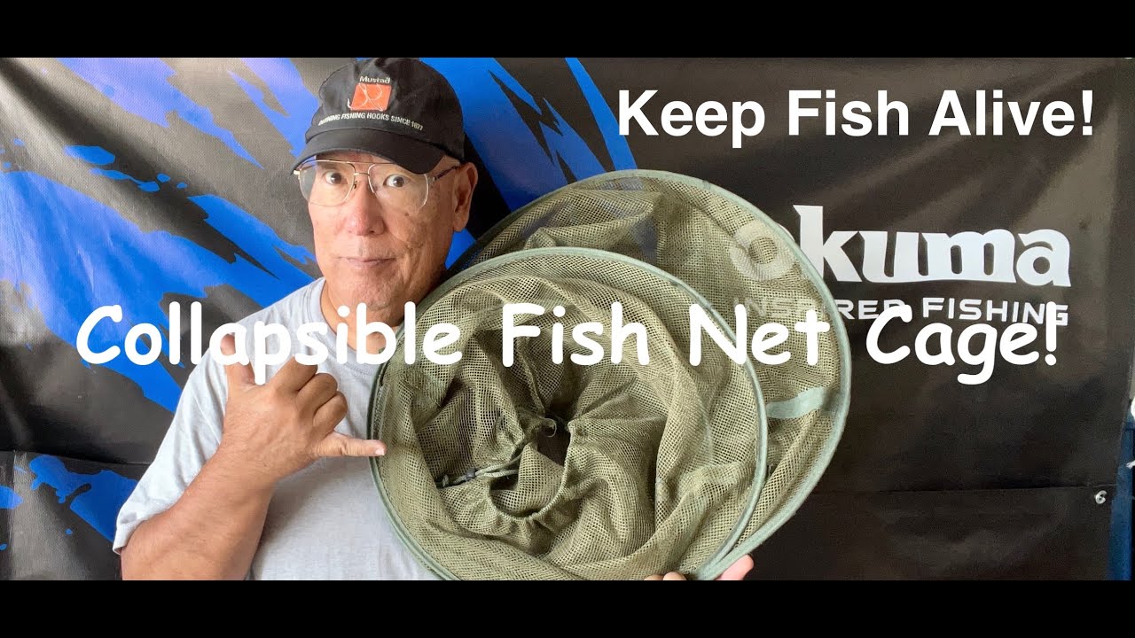 Collapsible Fish Net Cage Keeps Fish Alive! 