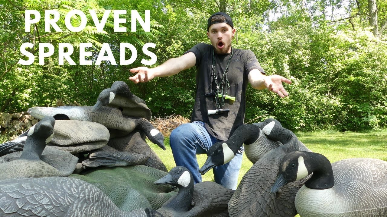 Do THIS to your Early Season Goose Spreads YouTube