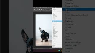 Clone Source - Short Photoshop Tutorial