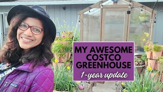 REVIEW COSTCO GREENHOUSE by Yardistry after 15 MONTHS #northerncalifornia