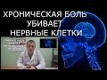 Головная Боль. МОЗГ. CHRONIC PAIN SHRINKS &#39;THINKING PARTS&#39; OF BRAIN