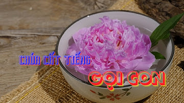 🎤 CHÚA CẤT TIẾNG GỌI CON - Beat | ST: Ns. Việt Khôi | Karaoke Beat Chuẩn HD | (BEAT/LYRICS)