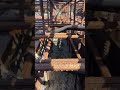 Concrete work #Viral #viralvideos #trending #famous #shorts