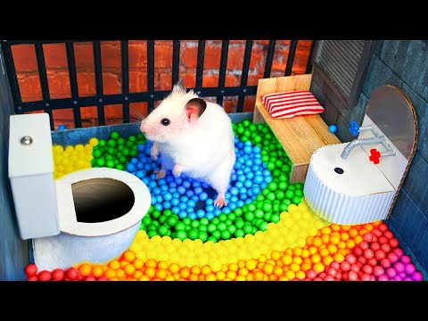 Hamster Escapes the Awesome Maze for Pets in real life 🐹 The Best Hamster Challenges