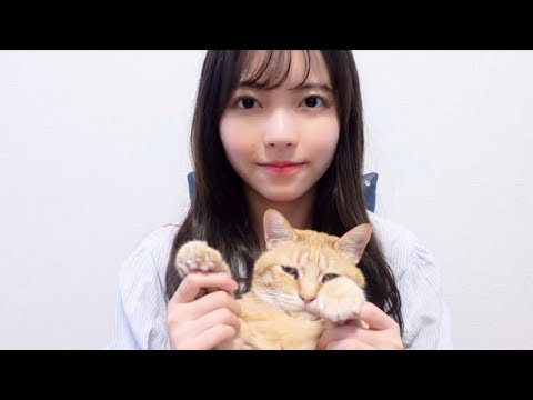 ASMR 猫耳かき🐈