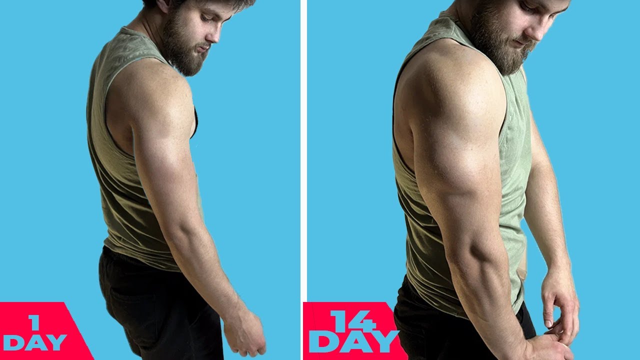 6-best-exercises-for-full-body-exercises-with-dumbbells-youtube