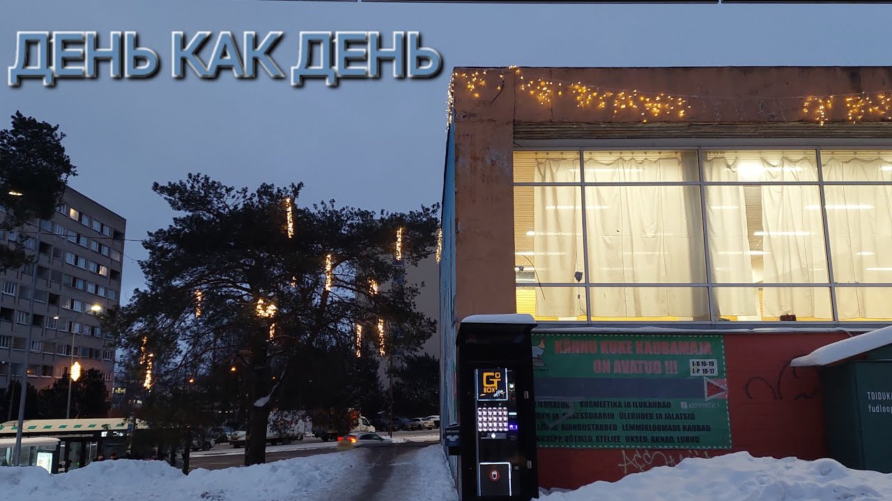 ОБЫЧНЫЙ ЯНВАРСКИЙ ДЕНЬ // ЗИМНЯЯ ВИШНЯ-поиск витаминов // Довольна своим ЗАКАЗОМ // ЭКО-мясо //