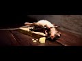 Nolan's Cheddar.flv