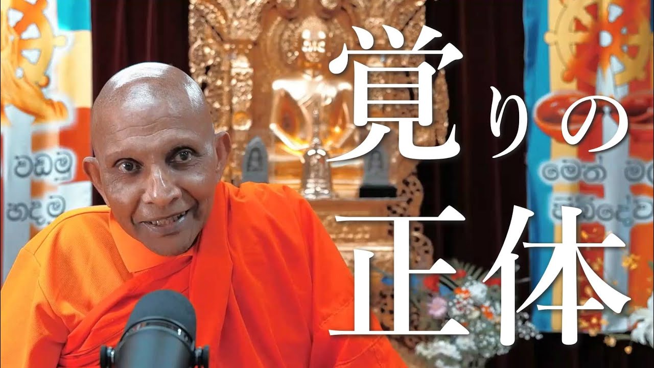 覚りの正体　一切智者という夢、三明の解明ーー中部71「三明ヴァッチャ経」を読む｜スマナサーラ長老のパーリ経典解説