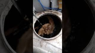 Making of Enriched micro nutrients Mixture for Pomegranate Plants