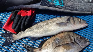 Pesca submarina con amigos: &quot;Agarrate al fondo&quot;