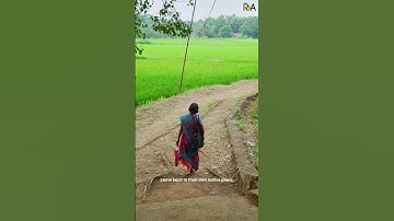 Living Architecture I  When Spaces Evolve With You  | R+A Architects