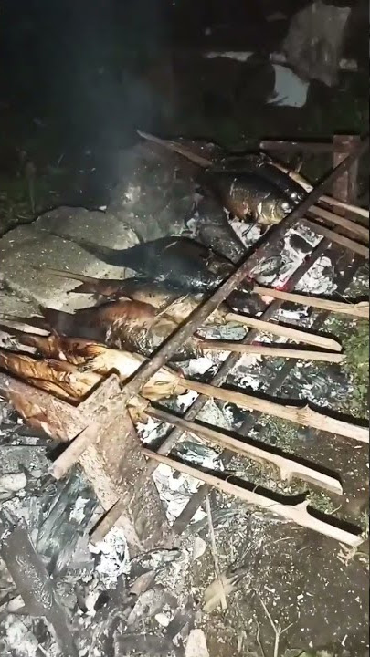 #shorts Bakar Ikan Tengah Malam #youtubeshorts #storywa #bakarikan