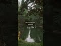 Your quiet corner on YouTube starts here 🦢