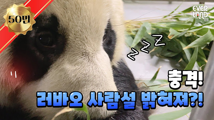 (Headphones On) Take Off the Panda Suit and Show Yourself|Everland Panda World #LeBao (Panda LeBao)