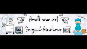 Anesthesia Machine Leak Check - Rebreathing System