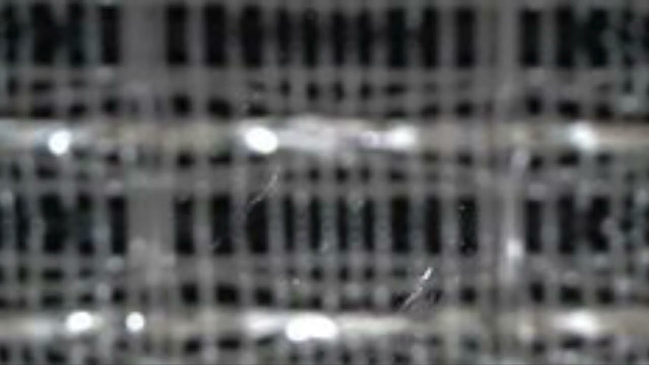 Bulk Of Strain - Within The Storm