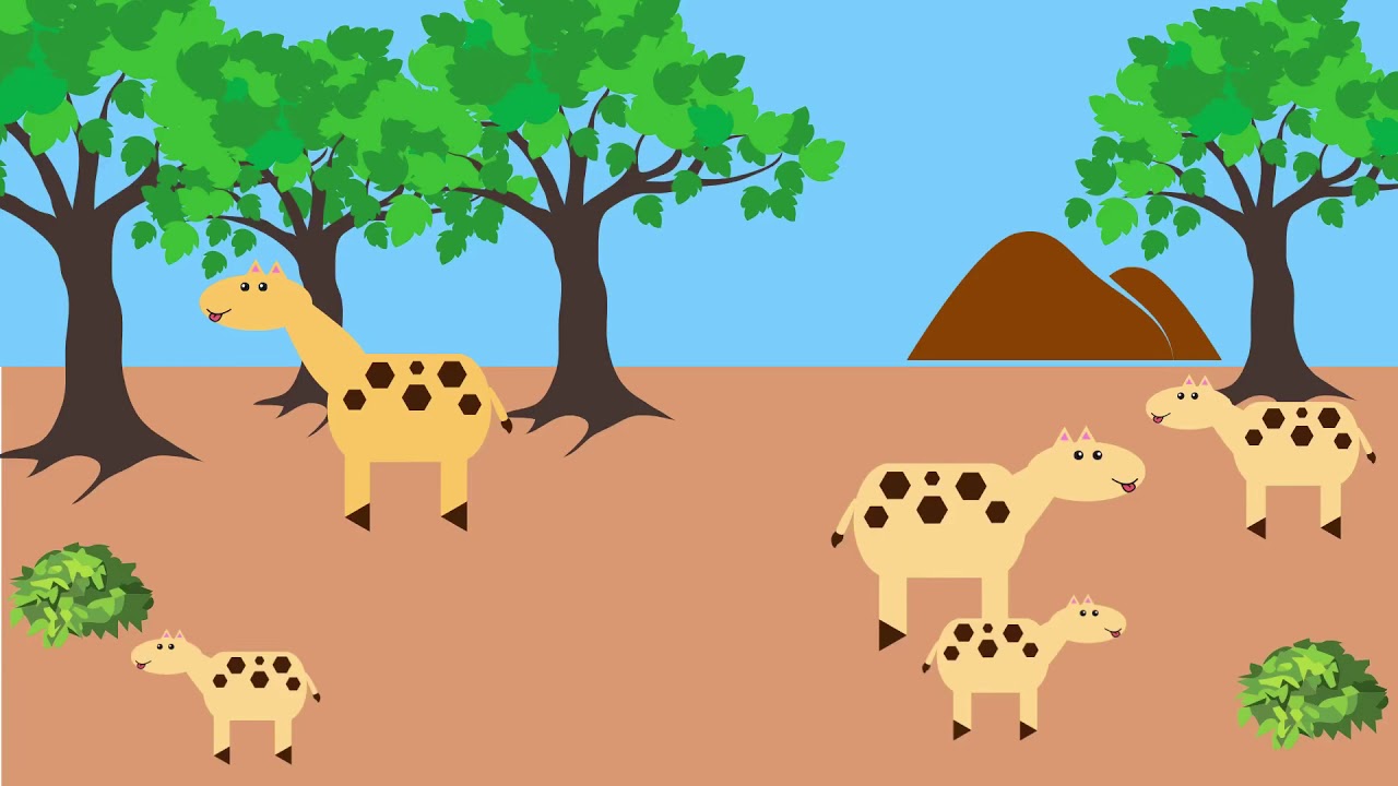 Science with Sam vol .10 - Animal Adaptations Part 2 - YouTube