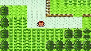 Top 10 Under Appreciated Pokemon of Johto
