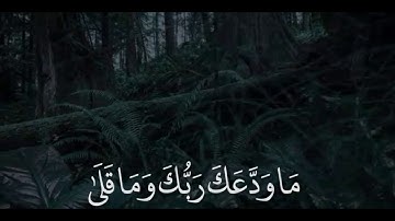 سوره الضحي|عبدالرحمن زكريا/تلاوه مريحه