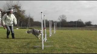 Agility Foundation -Serpentine/out/threadles