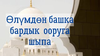 41 ЖОЛУ ФАТИХА СҮРӨСҮН УГУНУЗ. Баардык ооруга шыпаа болот.