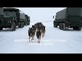 Top Military Dog Training 🐕 |best k9training techniques for Obedience &amp; Protection #k9