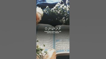 قران كريم بصوت القارئ مشاري راشد العفاسي🤍❤️