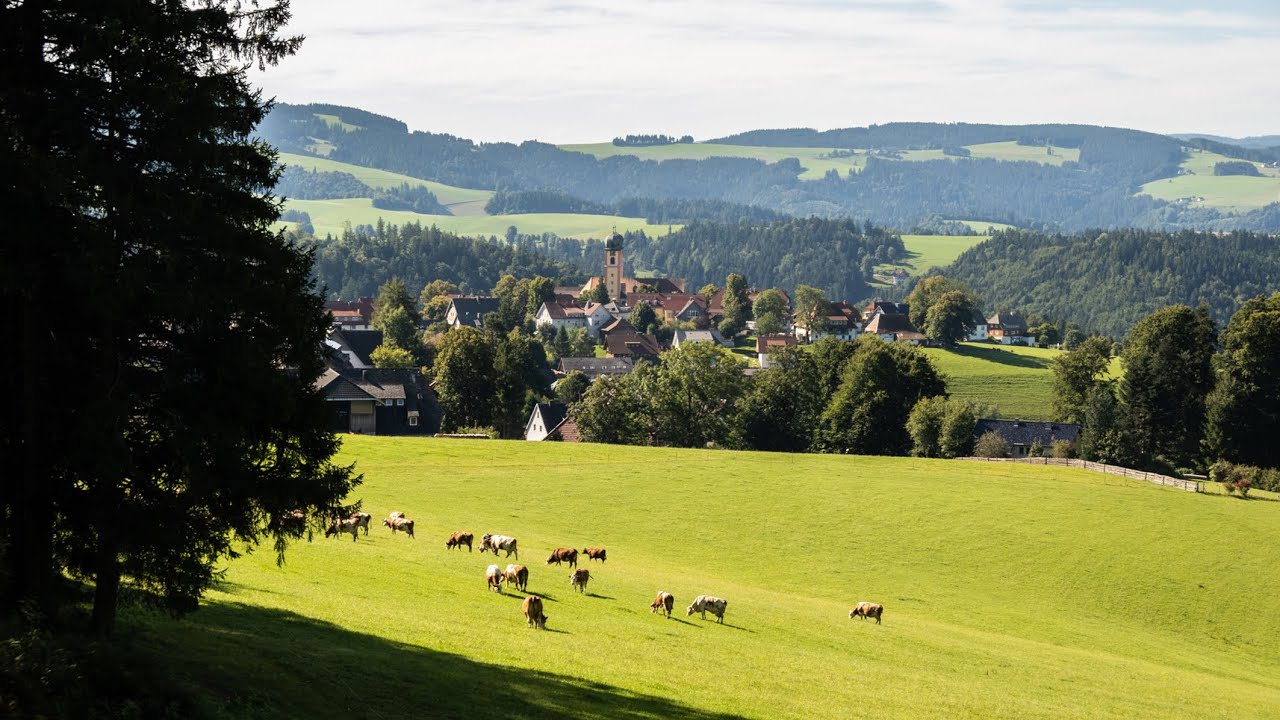 Panoramawandeling van St.-Märgen naar St.-Peter - Tongerse Wandelvrienden 2025