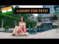I Took My Desi Dog to Pet Friendly India Luxury Hotel: Four Seasons Bengaluru | TRAVEL VLOG IV