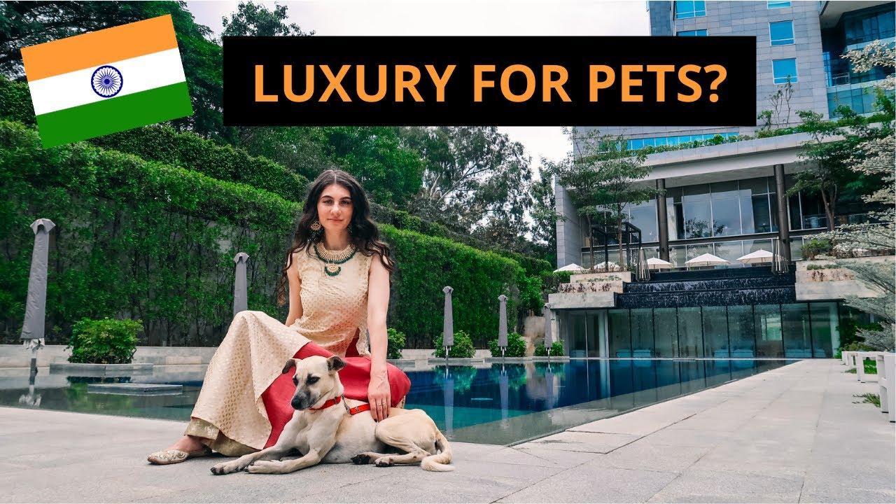 I Took My Desi Dog to Pet Friendly India Luxury Hotel: Four Seasons Bengaluru | TRAVEL VLOG IV