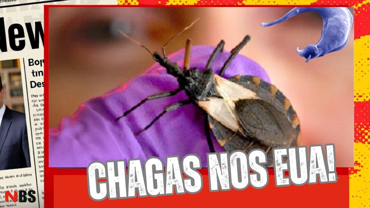 Doença de Chagas avança nos EUA e preocupa autoridades de saúde 