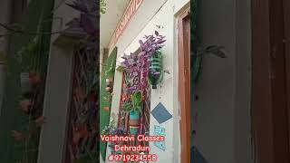 VAISHNAVI CLASSES #youtube #education #dehradun #biology #trending #viral #chemistry #class10 #exam