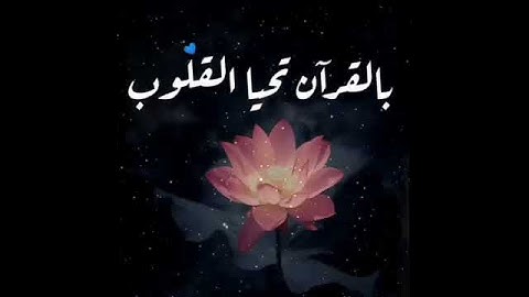 القارئ رعد الكردي آيات عظيمة حالات واتس اب القران / مؤثر 💙