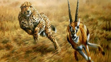 Predator-Prey Systems: Example 2: Part 2