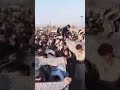 بژی حیزبی دێموکرات بژی خاکیپۆشانی وڵات مەهاباد ٢٧٢٥