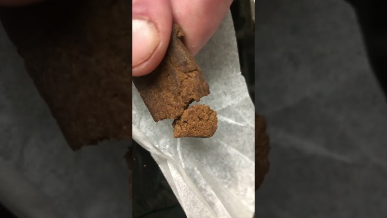 Amsterdam Barney’s coffee shop apple fritter