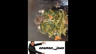 status wa lucu koki kecil tikus masak didapur bikin ngakak sakit perut viral TikTok #shorts