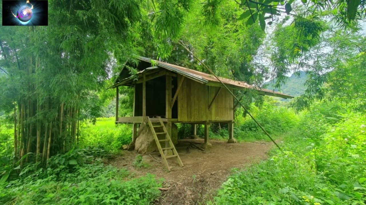 UA CAUB FAB MUS RIS NTSEV POM NEEG TUAG