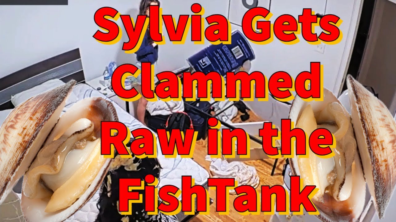 Video - Sylvia Gets Clammed Raw in the FishTank - Twitch Nude Videos