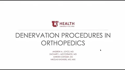 Denervation Procedures in Orthopaedics: Joyce, McC...