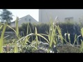 Meike 16mm Cine Lens - Minitest