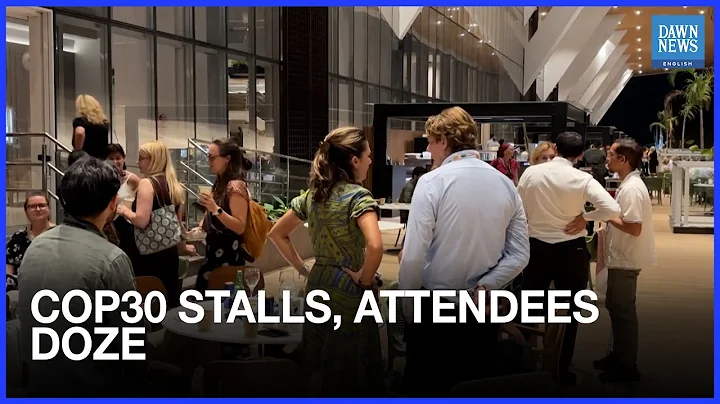 COP30 talks stall on fossil fuels as attendees nap and snack | Dawn News English