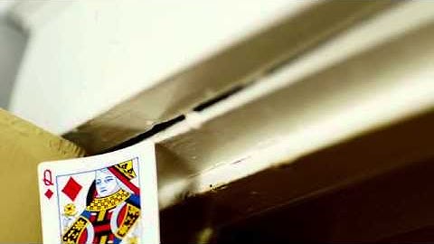 How To Identify Bed Bugs