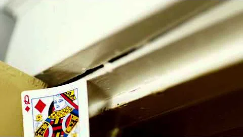 How To Identify Bed Bugs