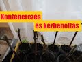 Konténerezés és kézbenoltás